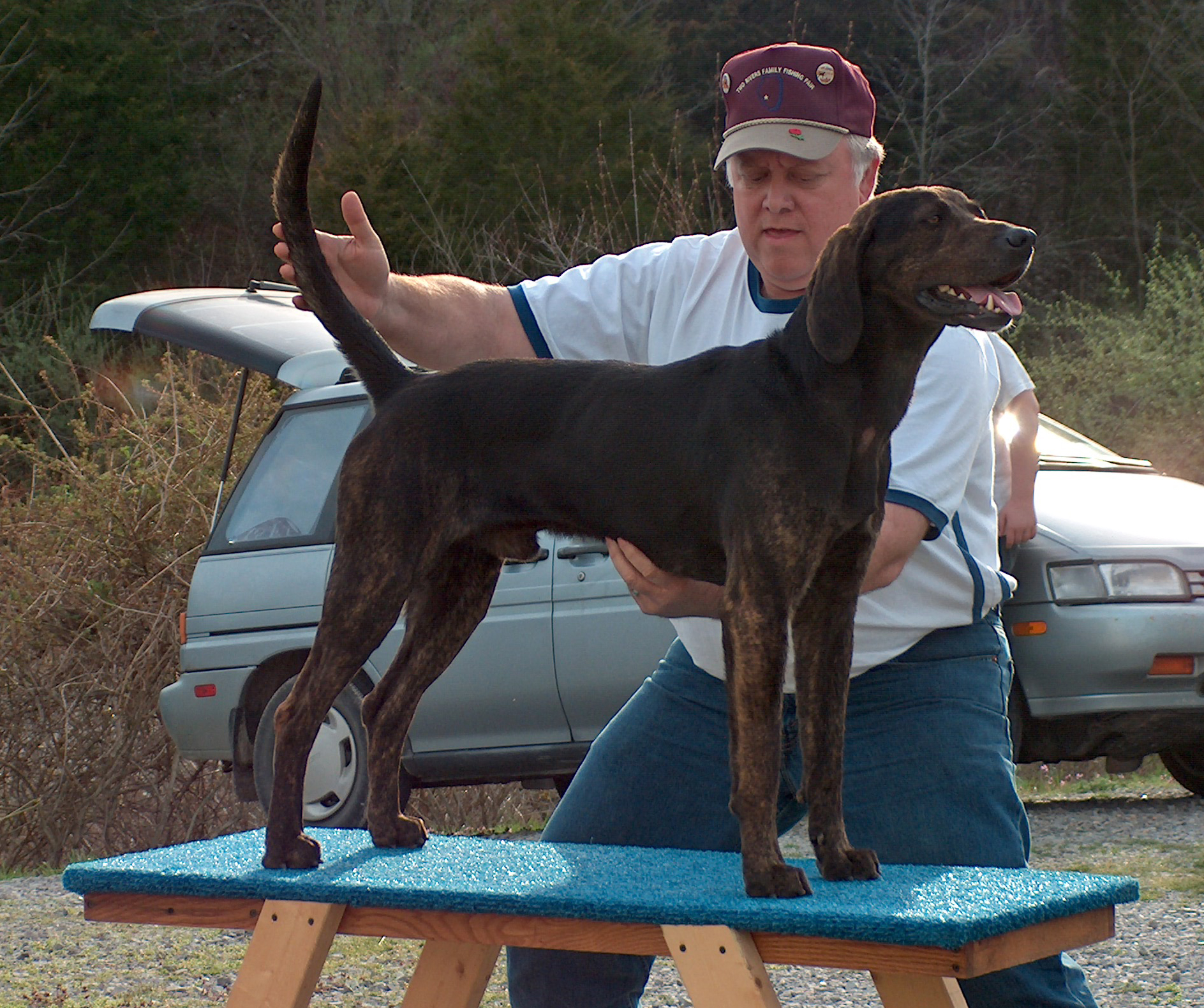 dog_pose.jpg